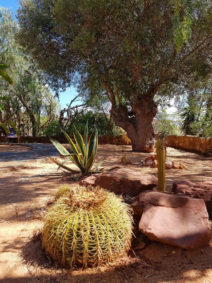 Bed and breakfast Gato Preto De Silves - Adults Only Extérieur photo