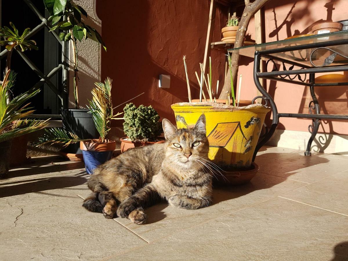 Bed and breakfast Gato Preto De Silves - Adults Only Extérieur photo